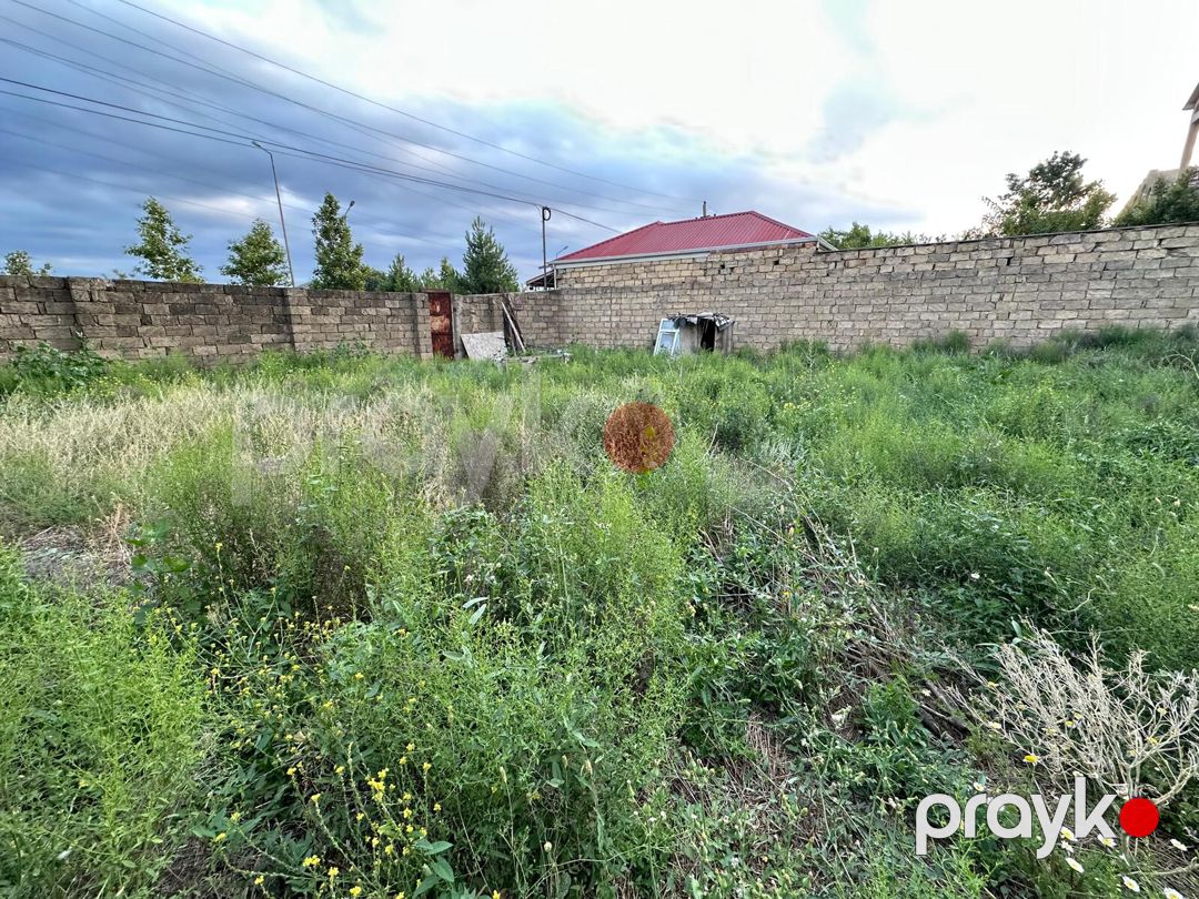 Satılır torpaq 7 sot — Torpaq, Bakı (4)