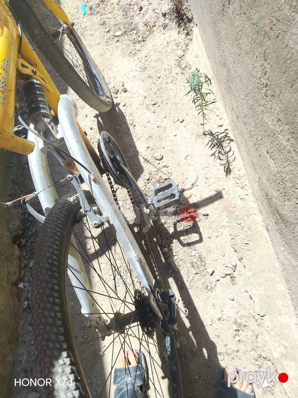 Şəhər tipli velosiped – sarı rəngli “Classıc Bıke” gövdə - Çərçivə — Yol velosipedləri, Digah (4)