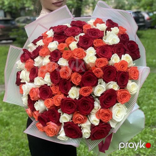 101 qızılgül parlaq qarışıq - kod 7171 — Bitkilər, Bakı (2)