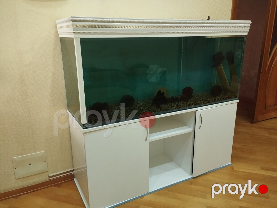 Akvarium 500L — Akvariumlar və balıqlar, Bakı (2)