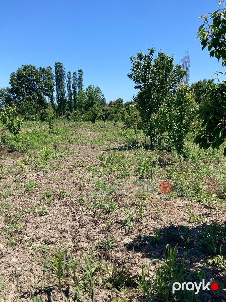 Satılır torpaq 108 sot — Torpaq, Xaçmaz (8)
