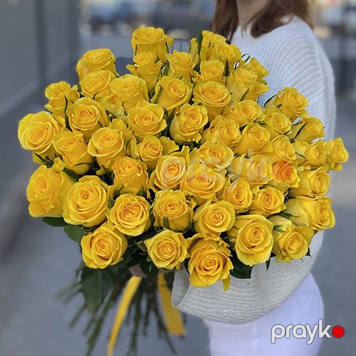 51 sarı qızılgül - kod 5454 — Bitkilər, Bakı (3)