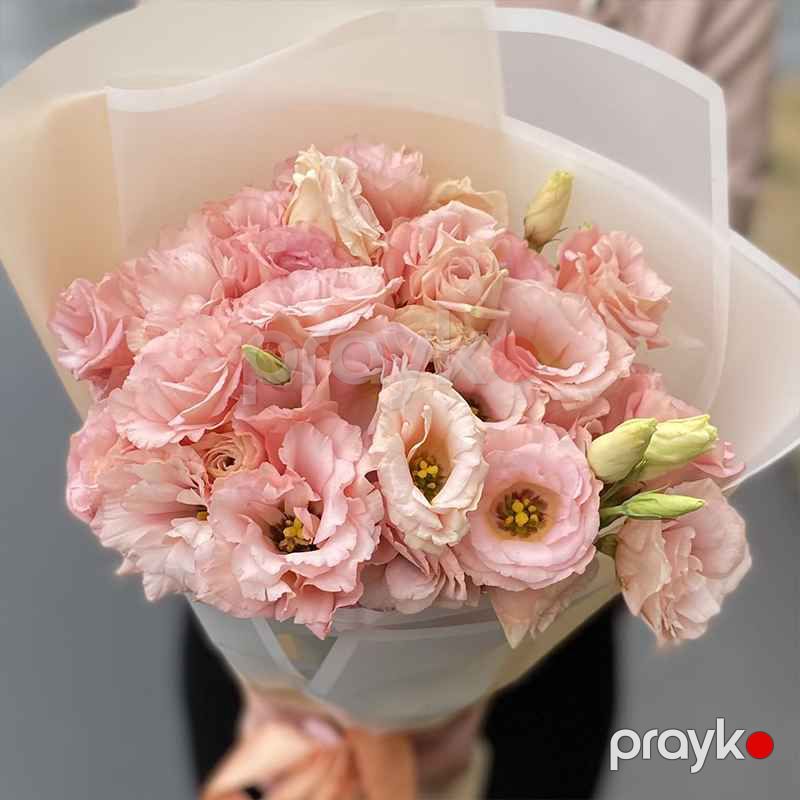 Eustoma - code:2019 — Bitkilər, Bakı (4)