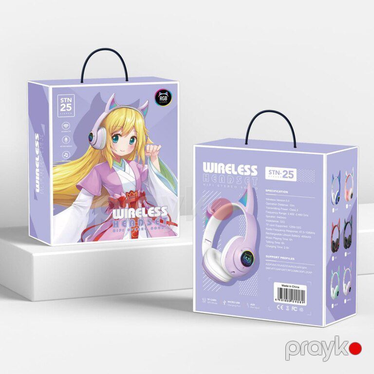 Qulaqlıq — Səs texnikası, Bakı (5)