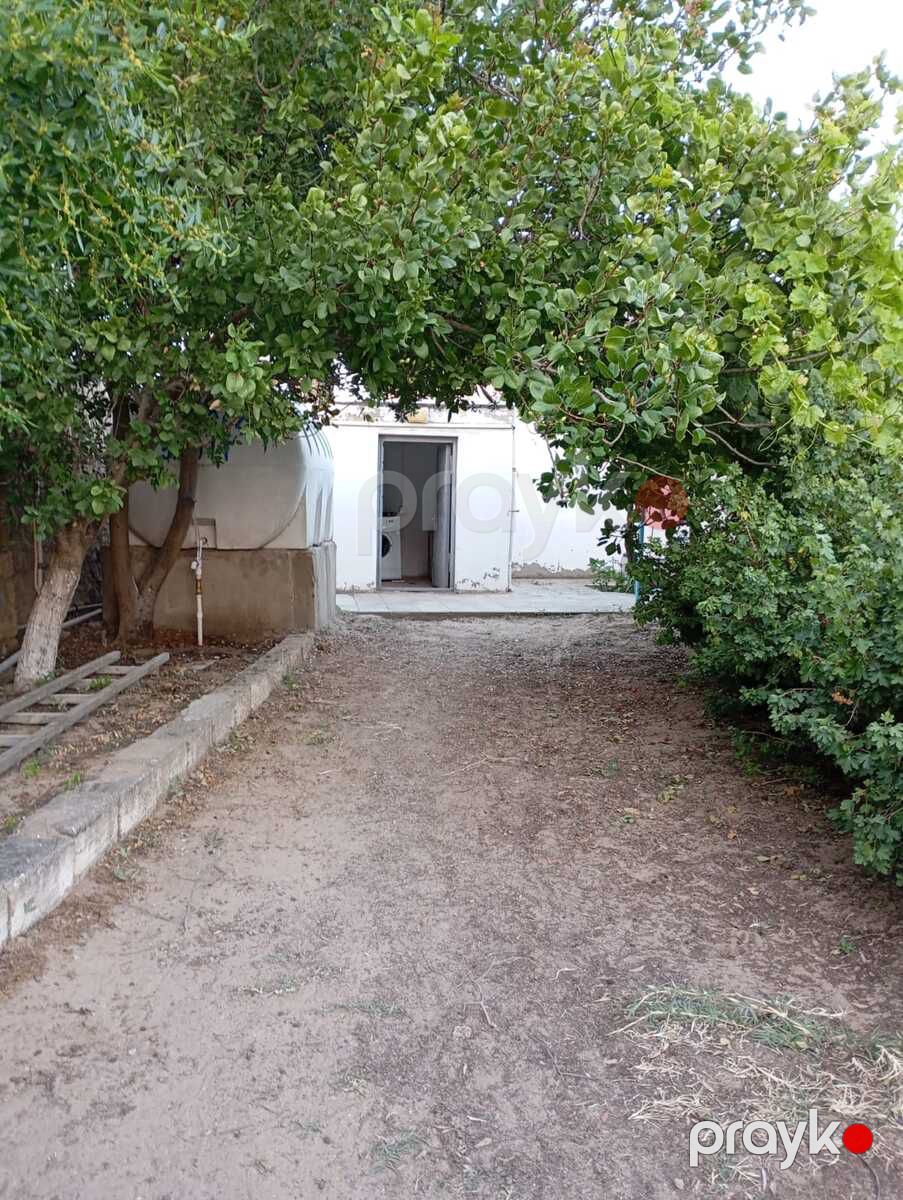 Bağ evi kirayə verilir, Sabunçu r — Ev, villa, Bakı (3)