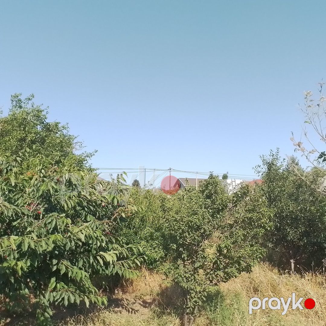 Satılır torpaq 1600 sot — Torpaq, Bakı (5)