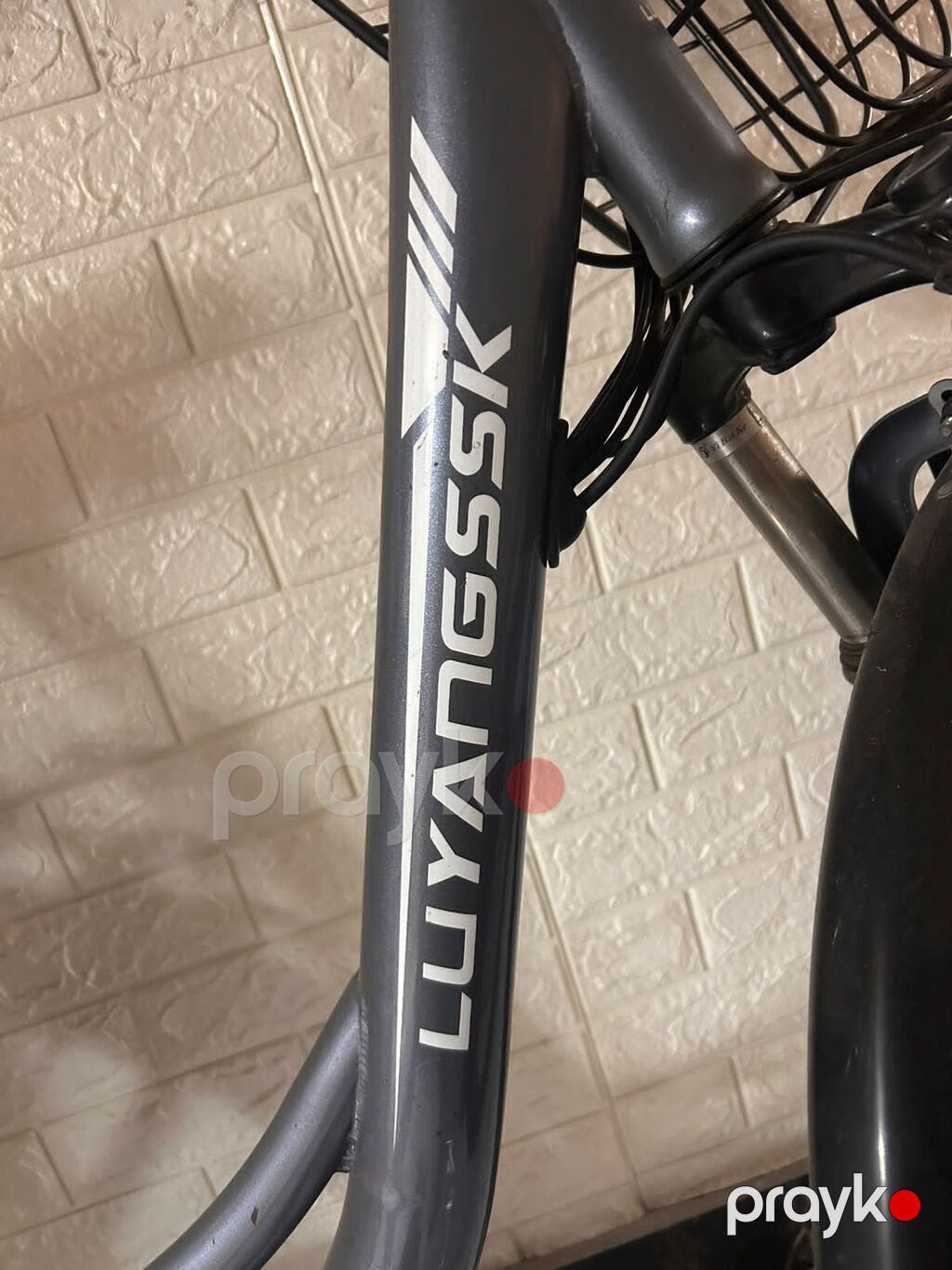 Luyangssk elektrik velosipedi 2000km -surush 40 km - gediş 1250 — Elektrik velosipedləri, Bakı (3)