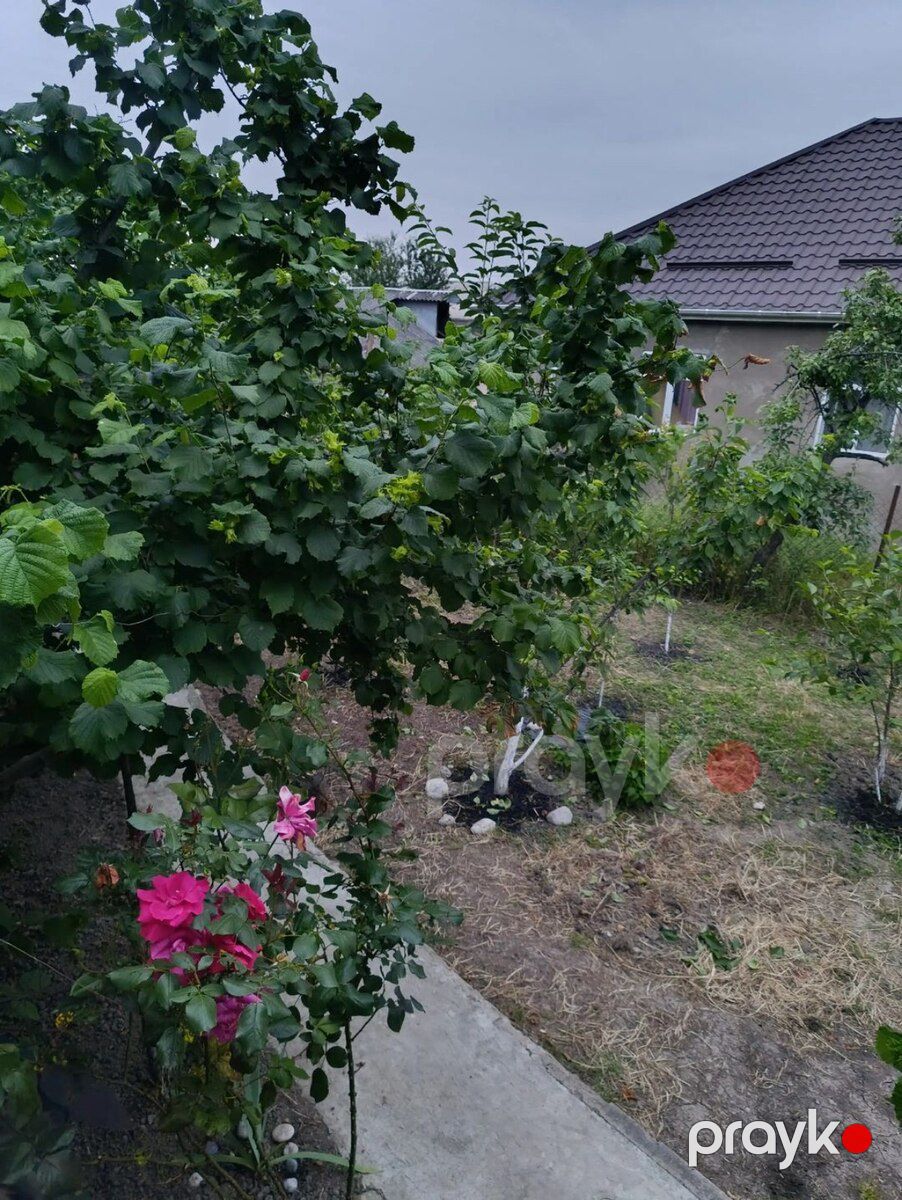 Villa kirayə verilir, Qusar r — Ev, villa, Qusar (2)