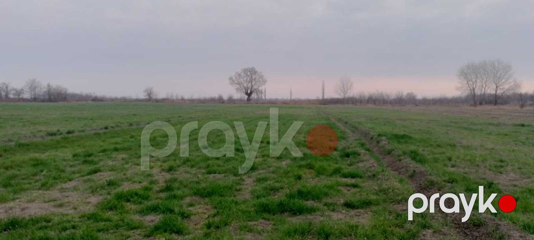 Satılır torpaq 440 sot — Torpaq, Xaçmaz (5)