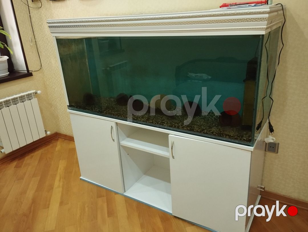 Akvarium 500L — Akvariumlar və balıqlar, Bakı (4)