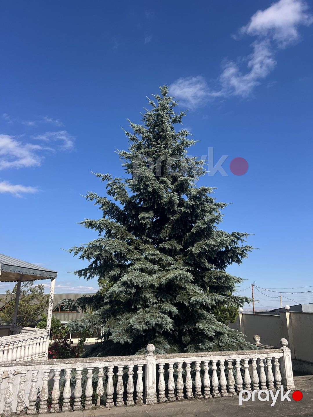 Satılır 7 otaqlı həyət evi/bağ evi 210 m² — Ev, villa, Şamaxı (11)