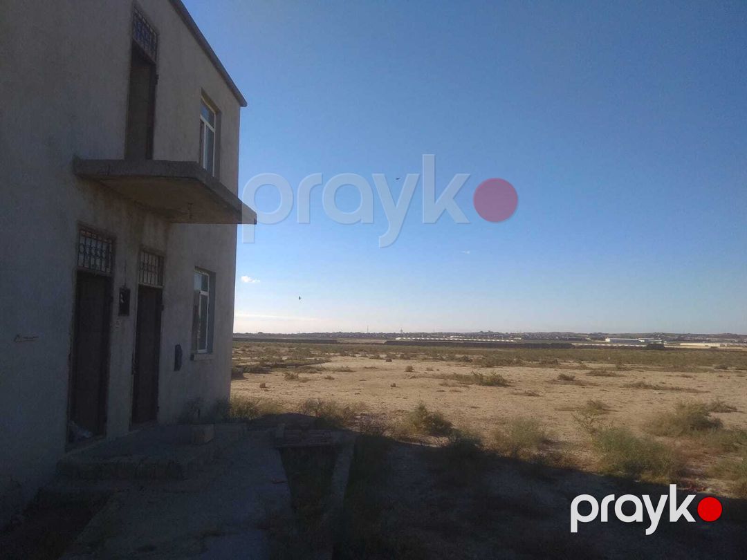 Satılır torpaq 553 sot — Torpaq, Bakı (3)