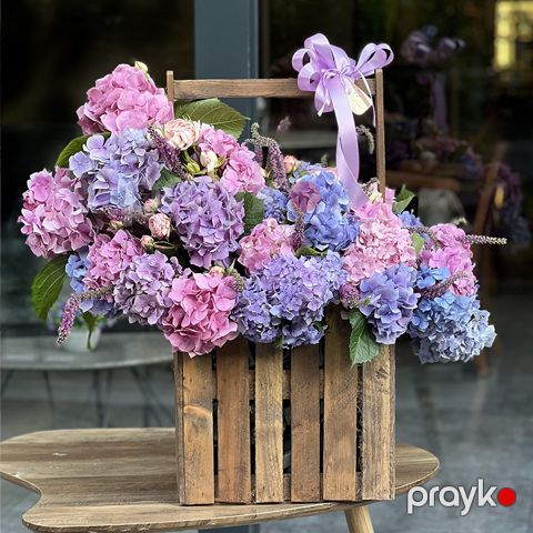 Yeşikdə Hortenziyalar - code:8042 — Bakı