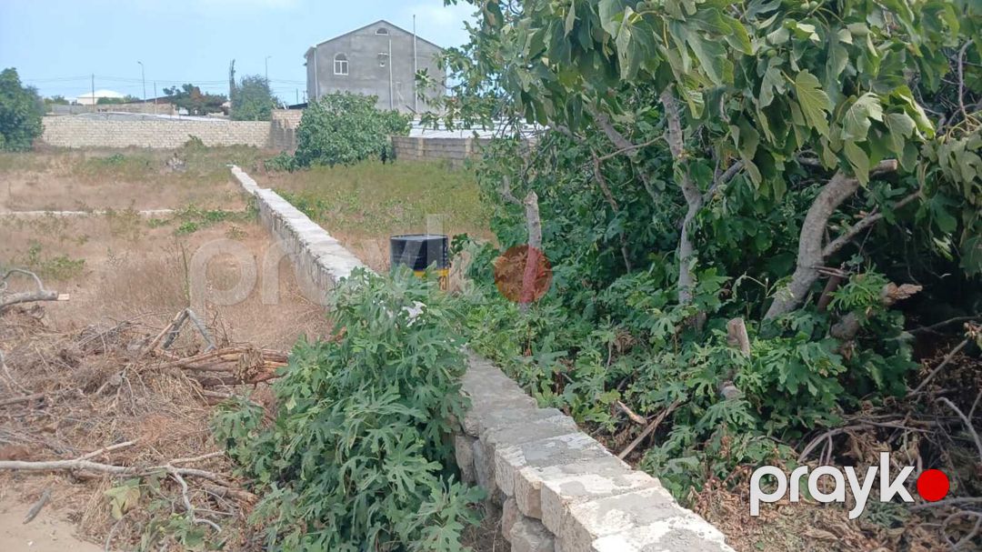 Satılır torpaq 3 sot — Torpaq, Bakı (8)