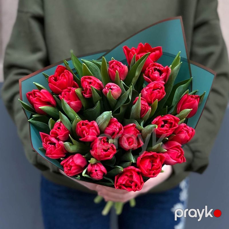 25 Qırmızı Tülpanlar - code:2059 — Bayram məmulatı, Bakı (2)