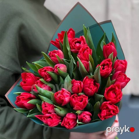 25 Qırmızı Tülpanlar - code:2059 — Bakı