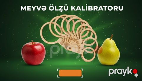Meyvə ölçü aləti kalibrator — Bakı