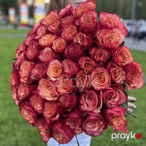 51 qırmızı-sarı qızılgül - kod 6060 — Bitkilər, Bakı (5)