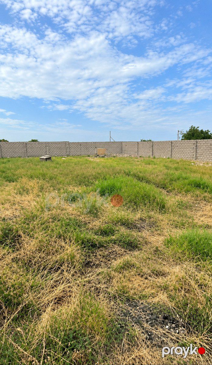 Satılır torpaq 9 sot — Torpaq, Bakı (4)