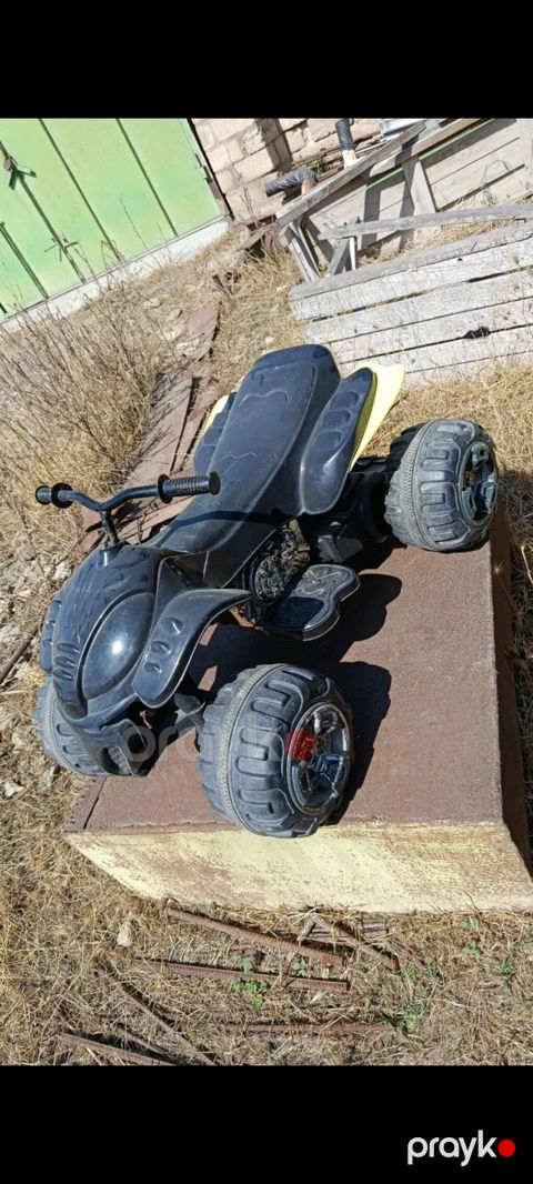 Uşaq üçün elektrikli kvadrosikl (batareya ilə işləyən ride-on). - 4 — Digah