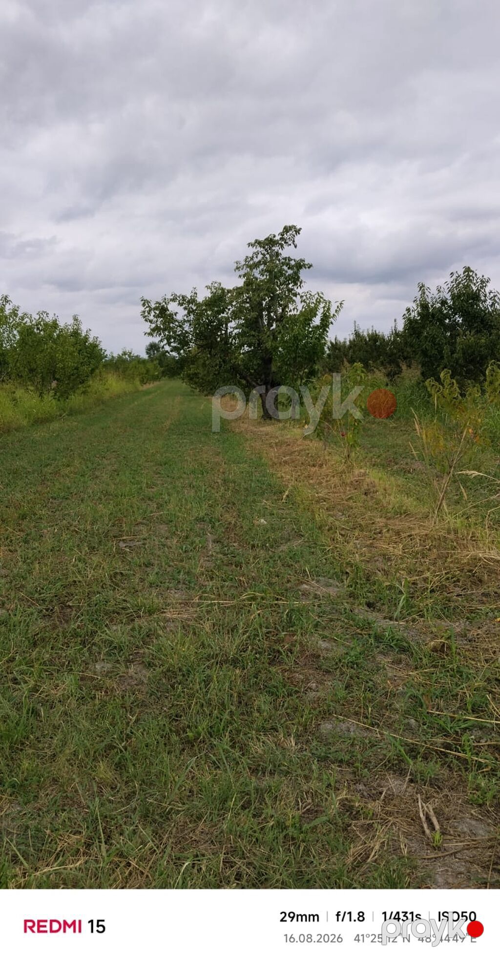 Kənd təsərrüfatı, Kommunal xətlər qoşulmayıb — Torpaq, Xaçmaz (3)
