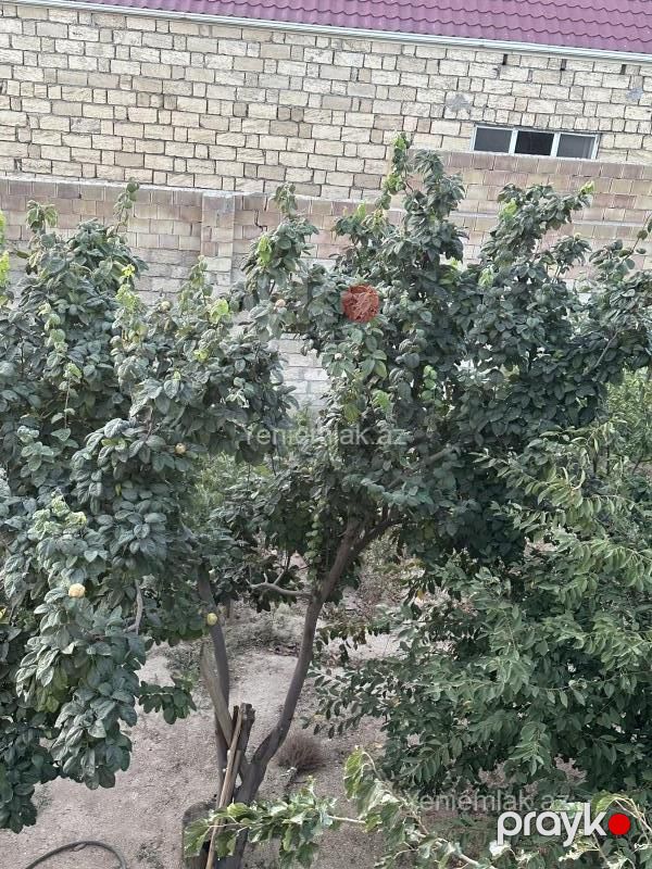 Satılır 7 otaqlı Həyət evi / Villa, 286 m², Hacı Zeynalabdin — Ev, villa, Sumqayıt (4)