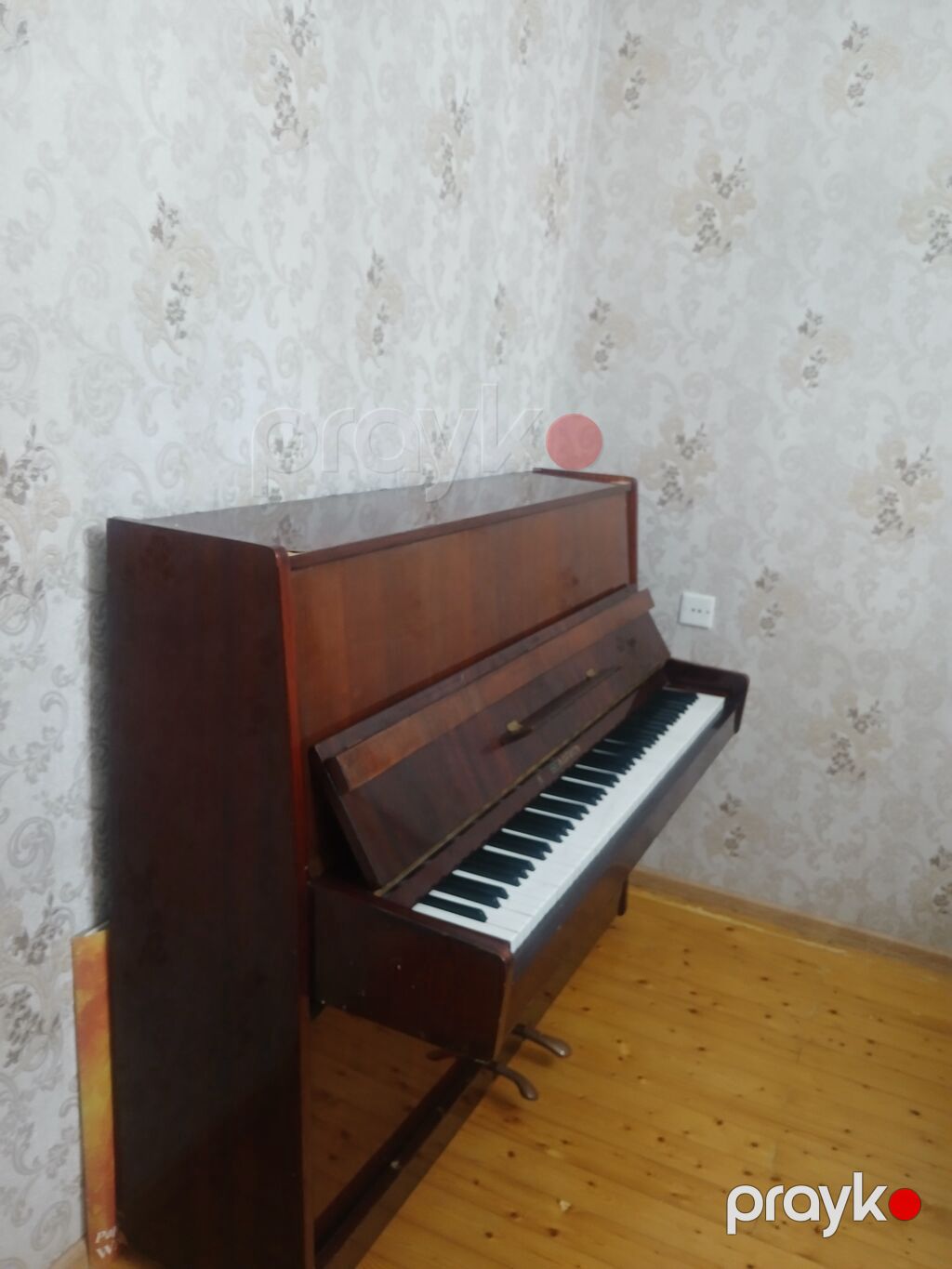 Piano, Belarus, Akustik, İşlənmiş — Pianino və digər klaviş alətləri, Digah (4)