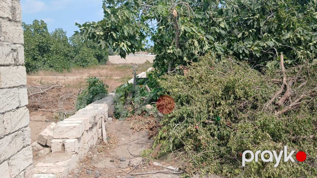 Satılır torpaq 3 sot — Torpaq, Bakı (5)