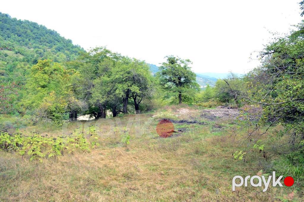 80 sot torpaq sahəsi, Quba r — Torpaq, Quba (12)