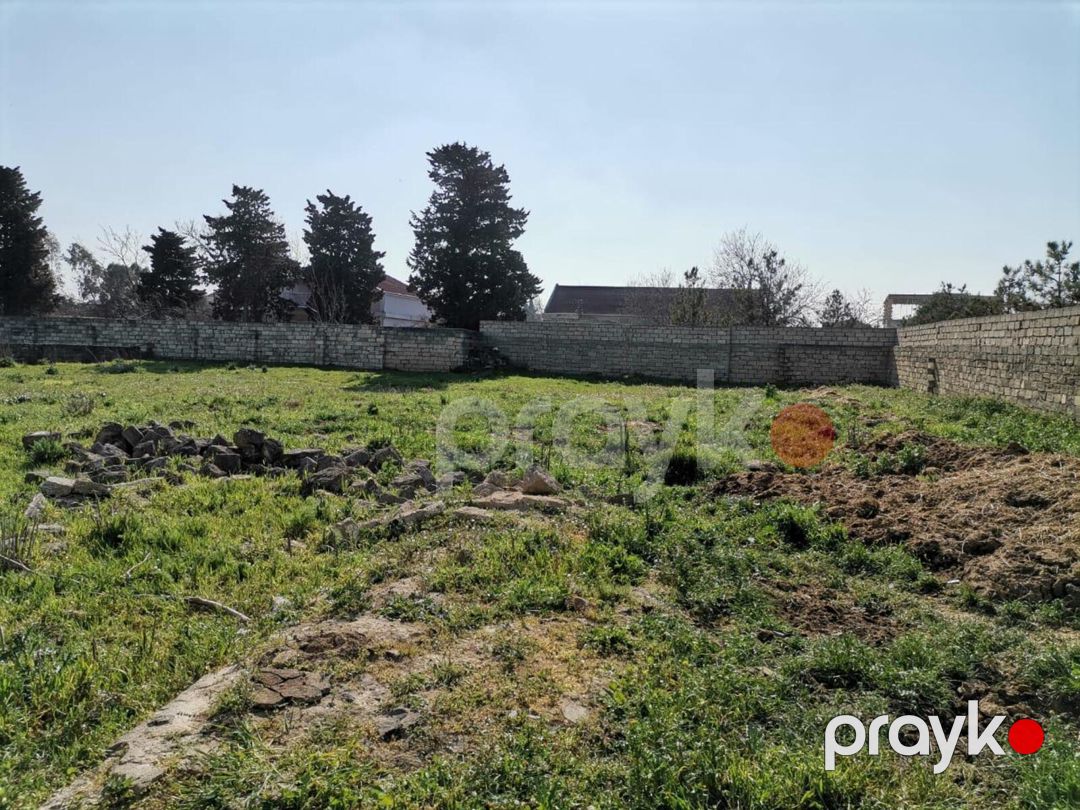 Satılır torpaq 6 sot — Torpaq, Bakı (4)