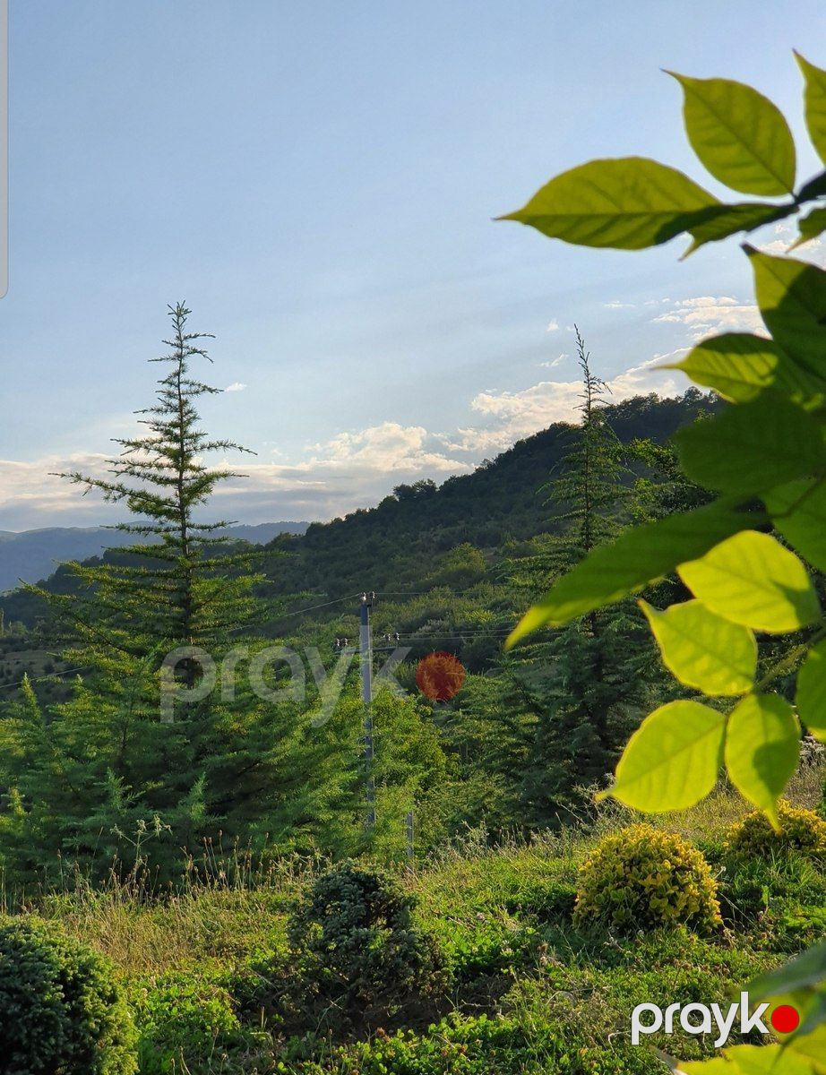 Satılır torpaq 50 sot — Torpaq, Quba (4)