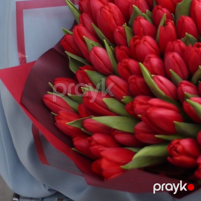 51 Qırmızı Tülpanlar - code:2050 — Bayram məmulatı, Bakı (3)