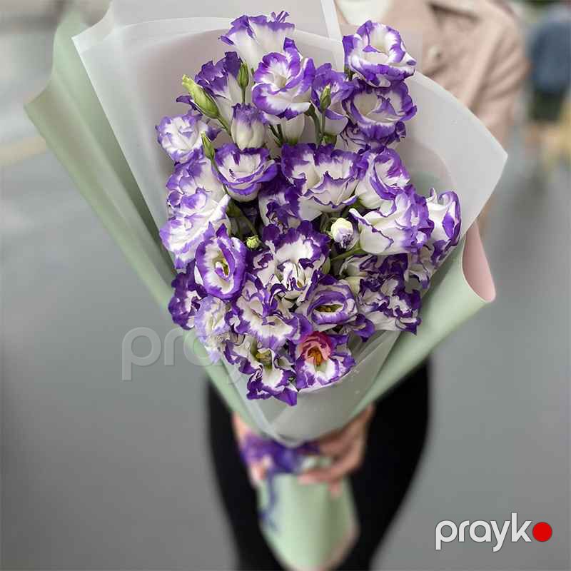 Eustoma - code:2017 — Bitkilər, Bakı (2)