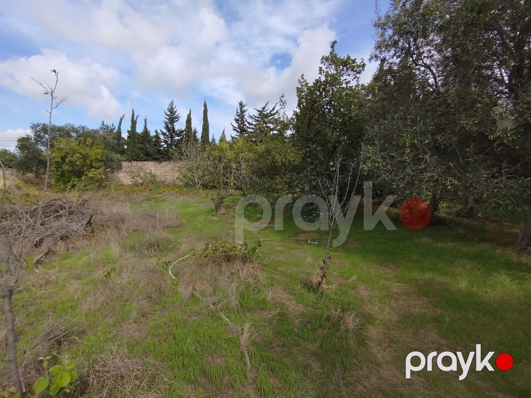 Satılır 3 otaqlı həyət evi/bağ evi 100 m² — Ev, villa, Bakı (2)