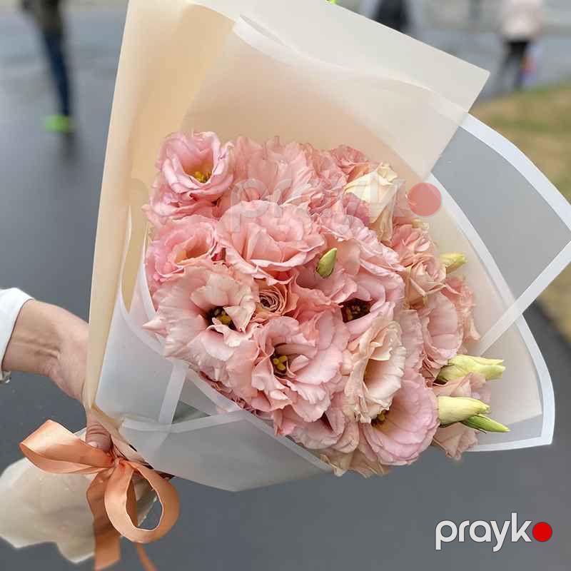 Eustoma - code:2019 — Bitkilər, Bakı (2)
