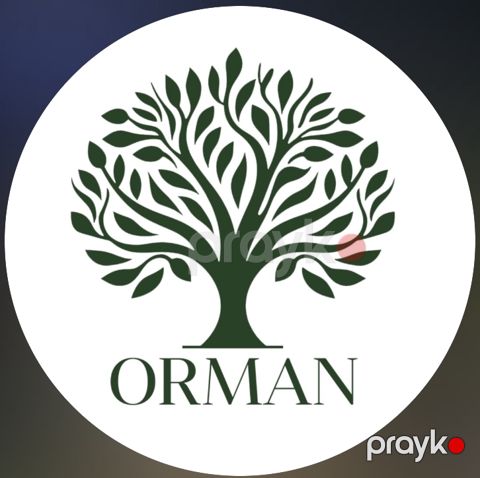 Orman İsmayıllı — İsmayıllı