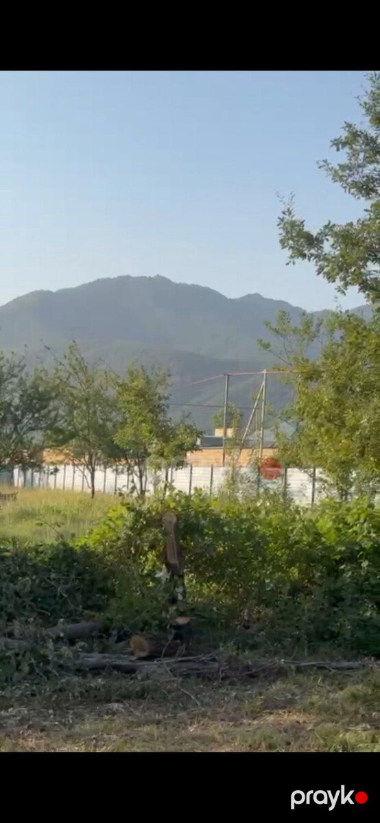 6 sot torpaq sahəsi, Qəbələ r — Torpaq, Qəbələ (10)
