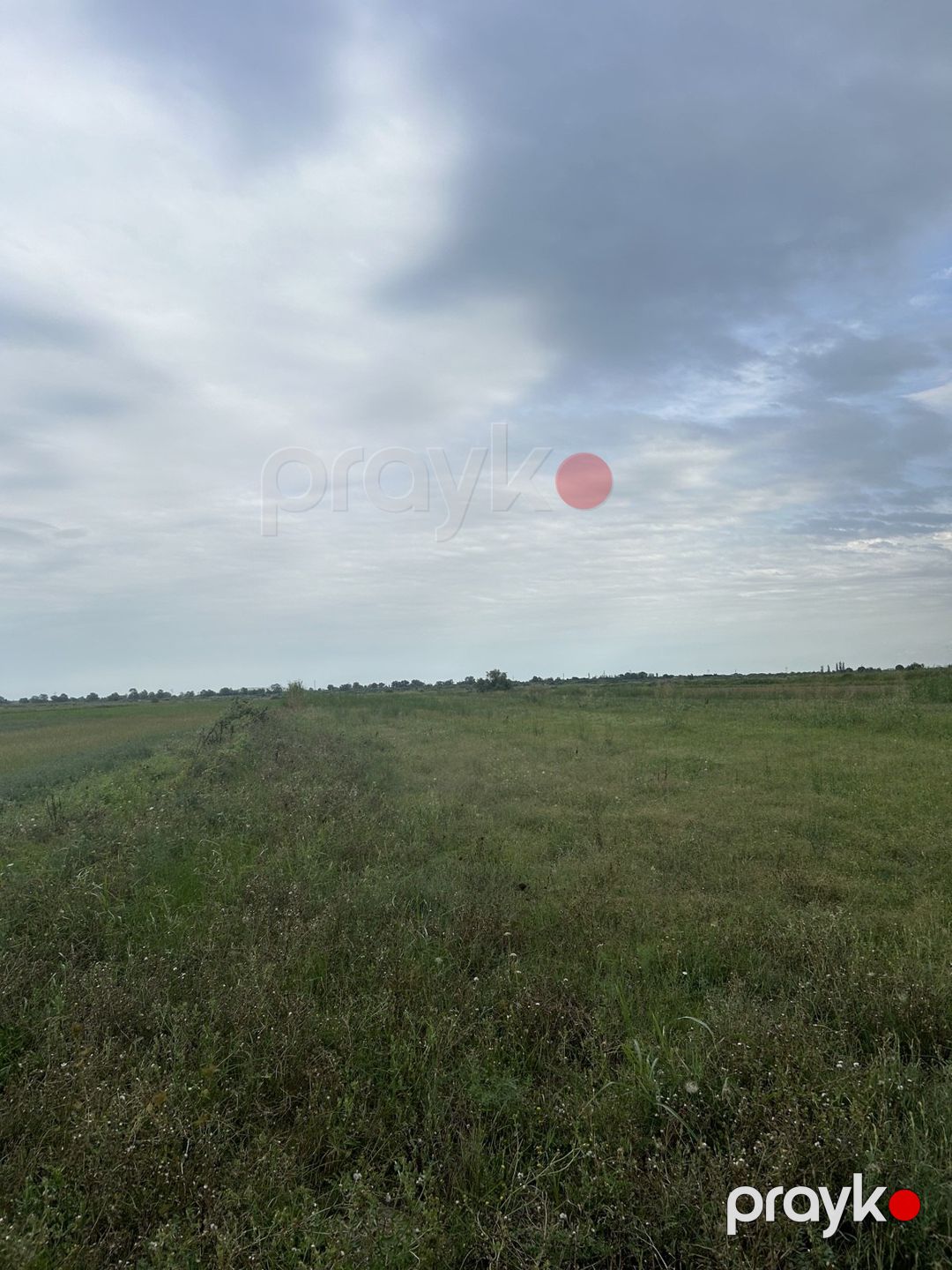 1200 sot torpaq sahəsi, Salyan r — Torpaq, Salyan (11)