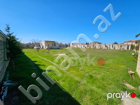 12 sot Torpaq, Satış, Abşeron — Abşeron