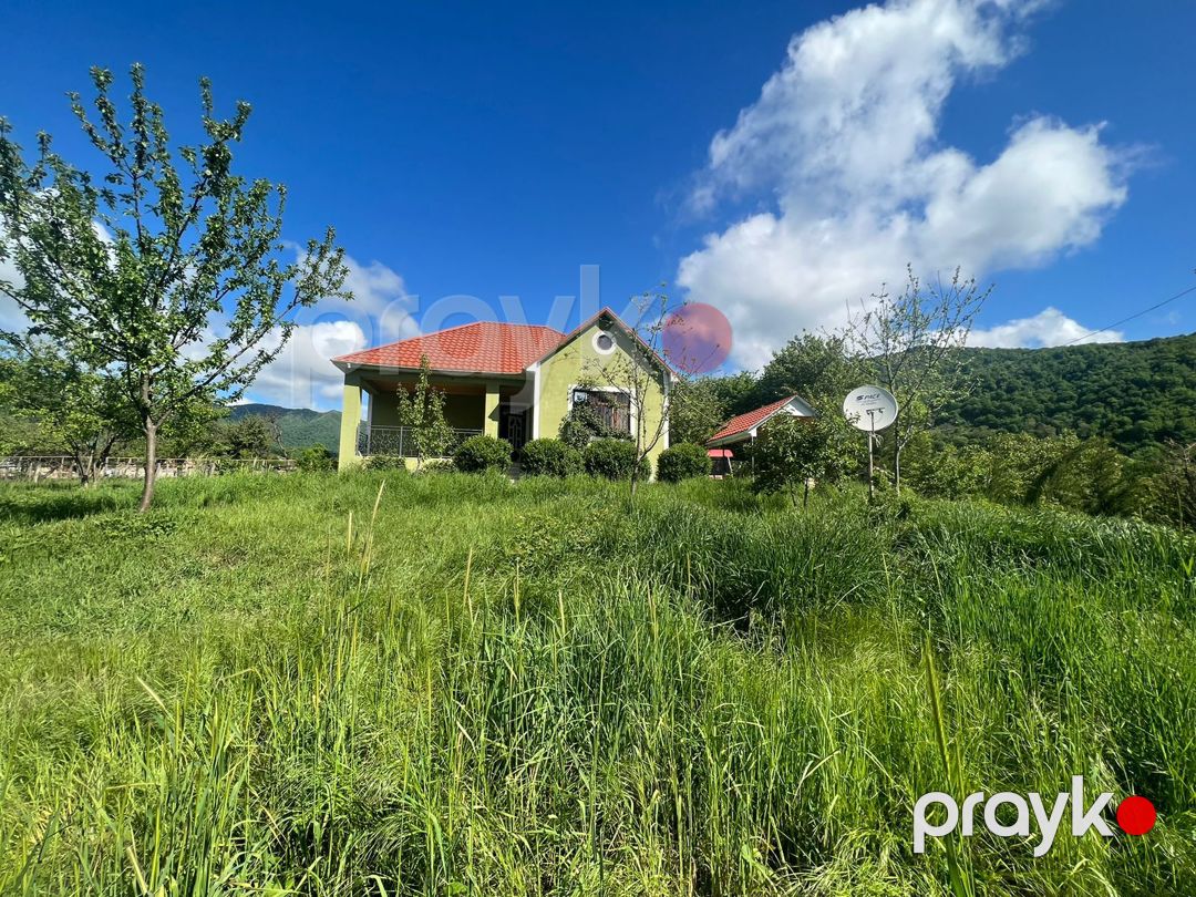 İcarəyə verilir 3 otaqlı həyət evi/bağ evi 100 m² — Ev, villa, İsmayıllı (6)