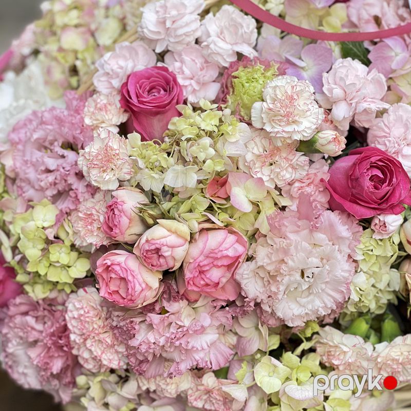 Gül Səbəti - code:8043 — Bitkilər, Bakı (6)