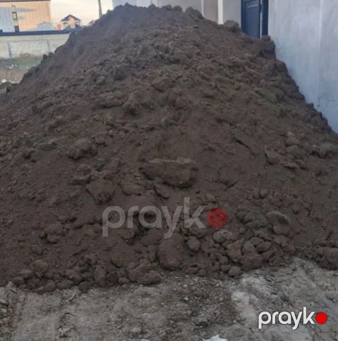 Qara torpaq-peyin — Şamaxı
