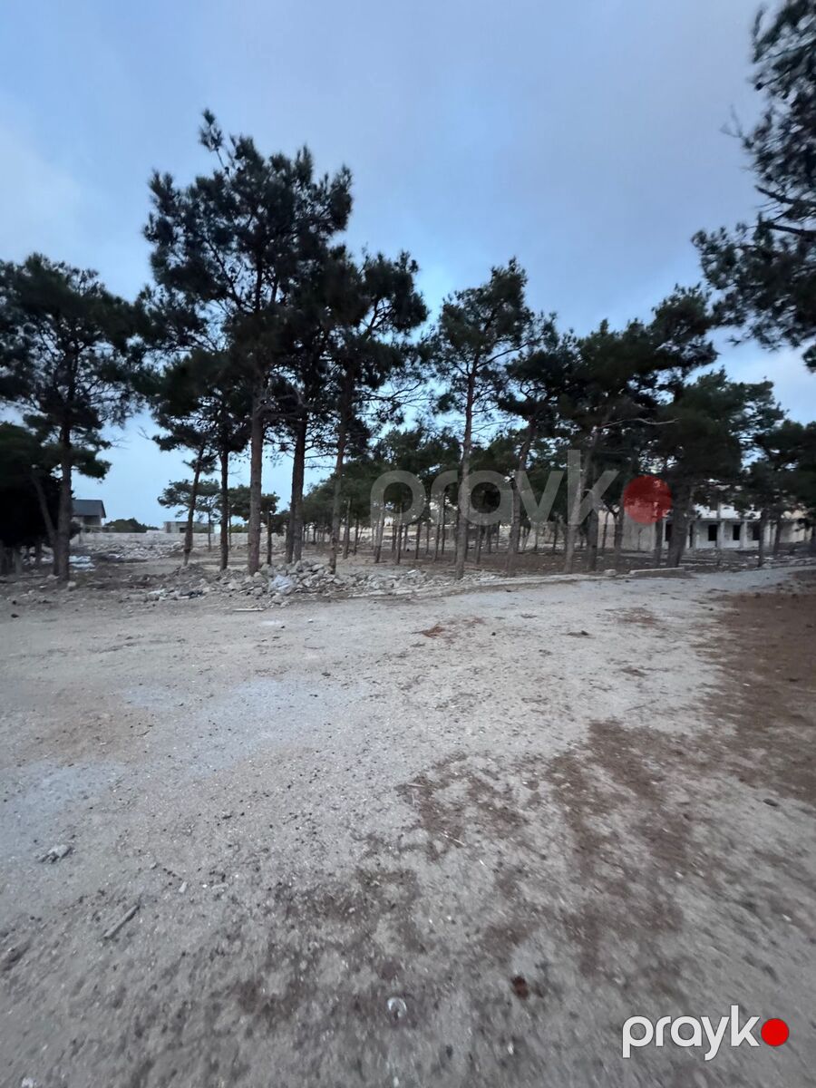 Satılır torpaq 144 sot — Torpaq, Bakı (6)