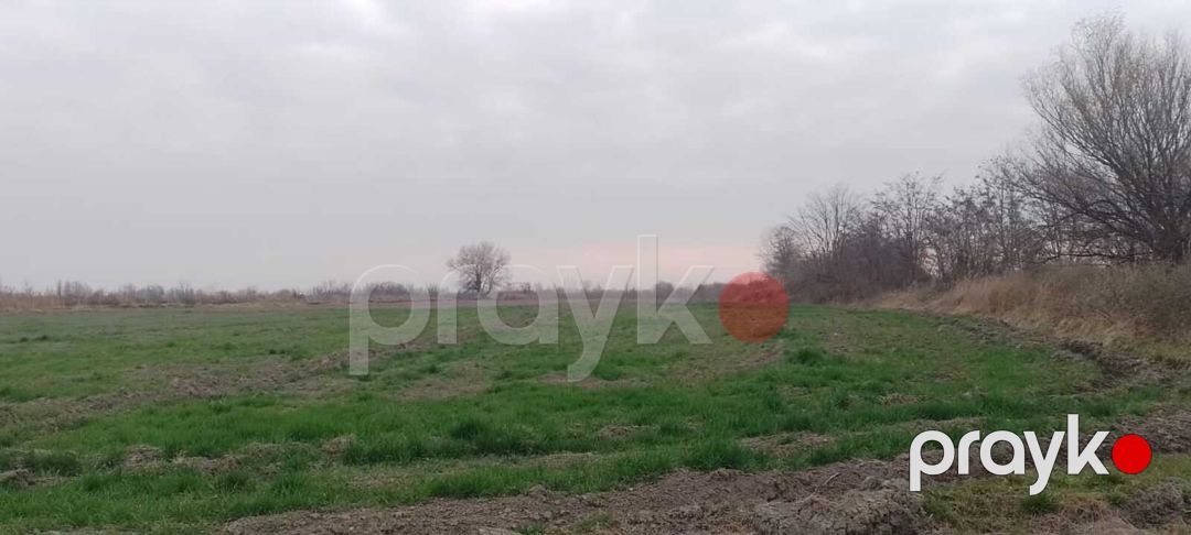 Satılır torpaq 440 sot — Torpaq, Xaçmaz (8)