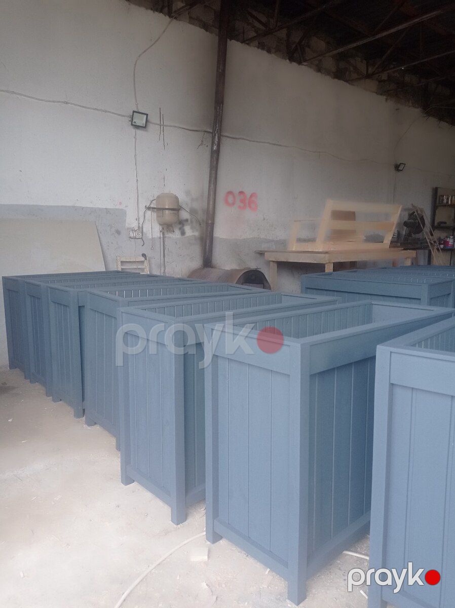 Dibçəklər — Bitkilər, Bakı (3)