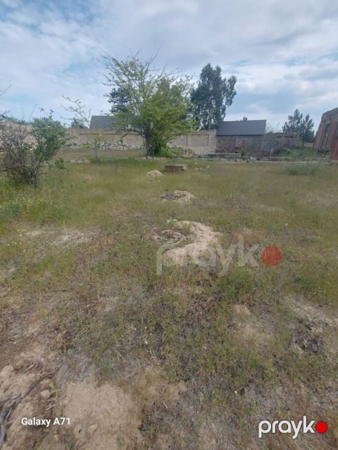 Tikinti — Digah