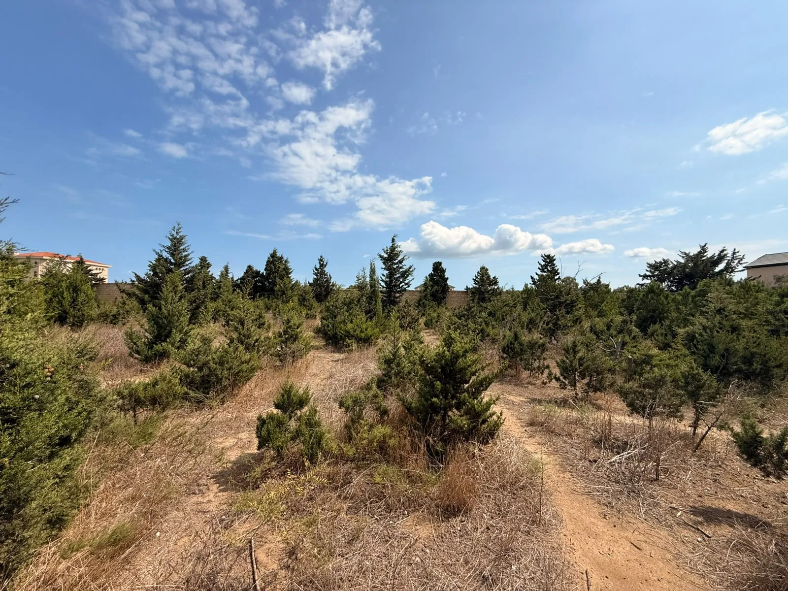 Şüvəlan, Torpaq satılır - 36 sot — Torpaq, Bakı (7)