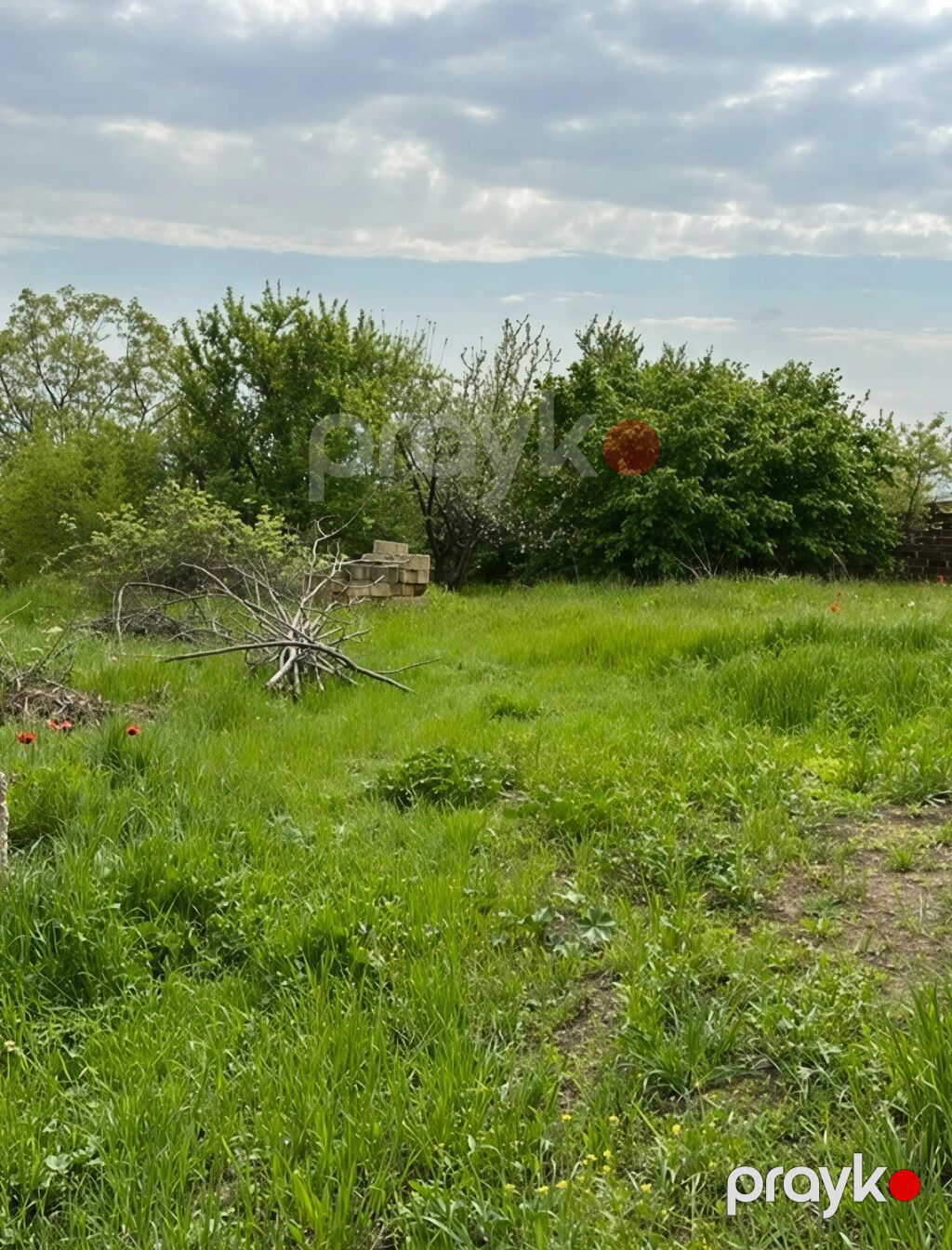 31 sot, Tikinti, Mülkiyyətçi, Kupça (Çıxarış) — Torpaq, Xaçmaz (5)