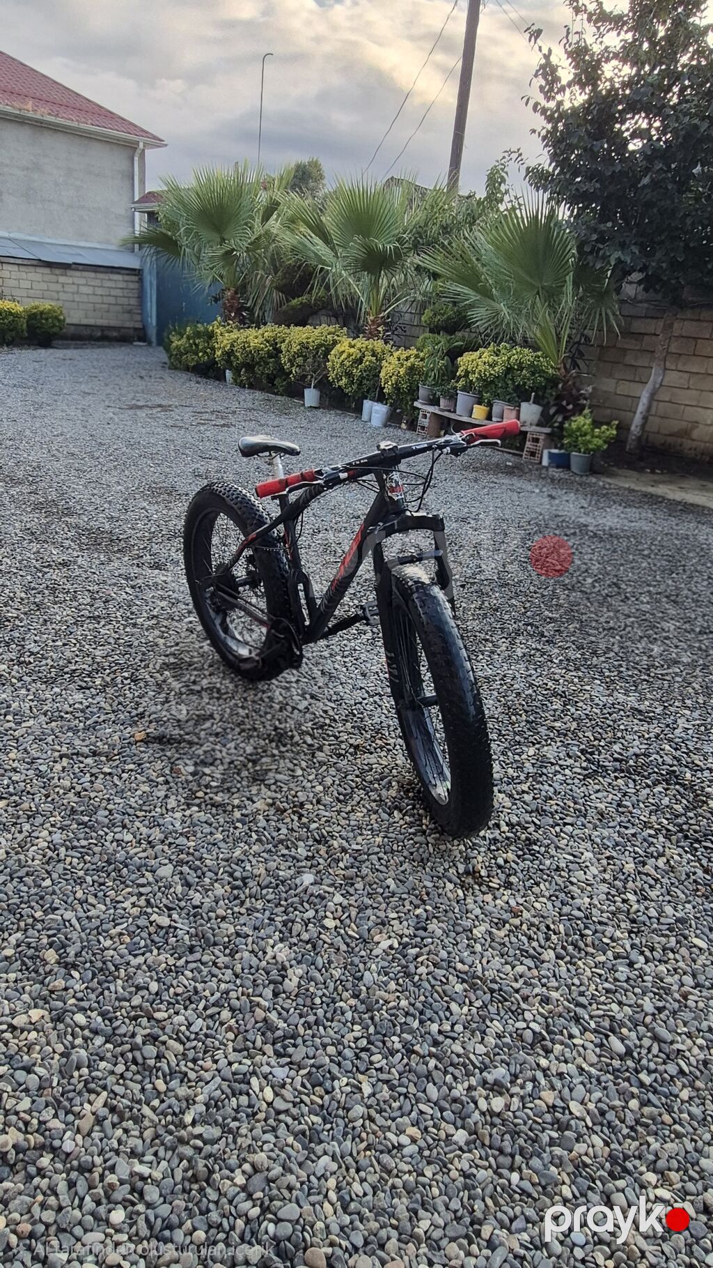 Salam nağd alıcıya endirim olacaq Fat bike tipli dağ velosipedi — Velosipedlər, Masallı (2)