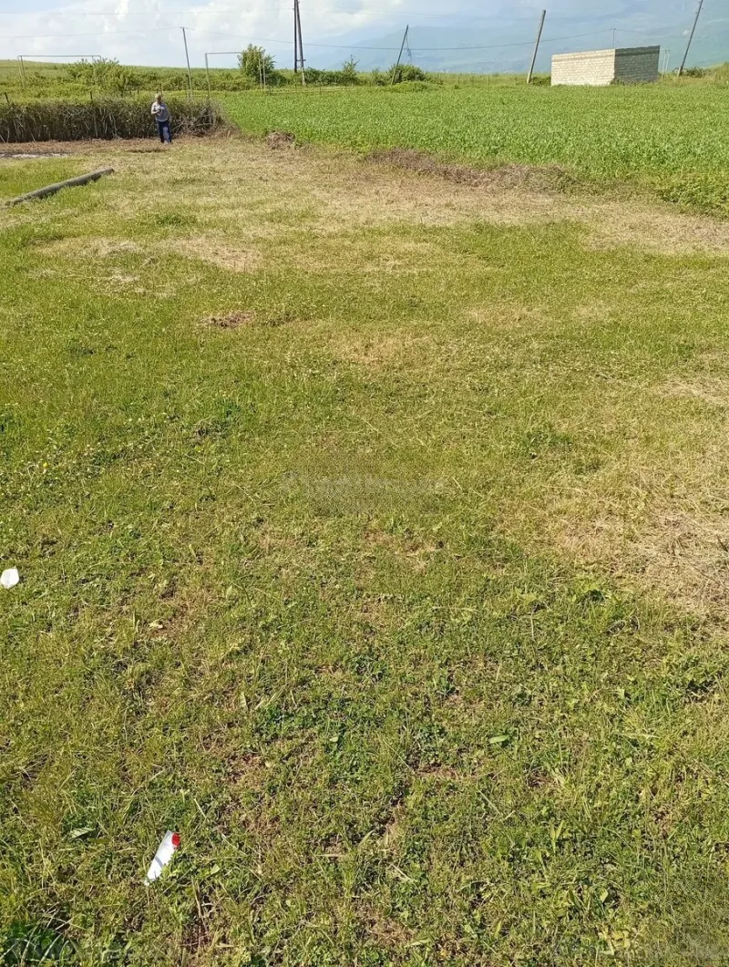 Satılır Torpaq 12 sot İsmayıllı — Torpaq, İsmayıllı (2)